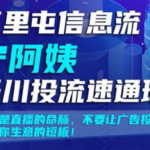 巨量千川推广培训课程《三里屯信息流宁阿姨千川投流速通班》