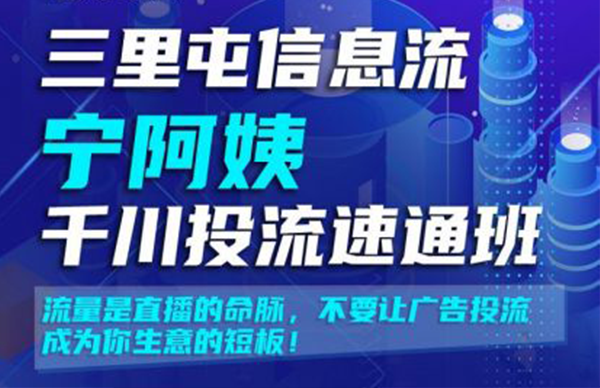 巨量千川推广培训课程《三里屯信息流宁阿姨千川投流速通班》